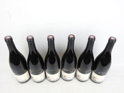 6 Bottles BOURGUEIL Jour de Soif 