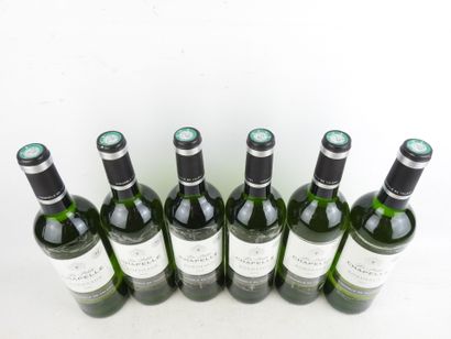 6 Bottles 