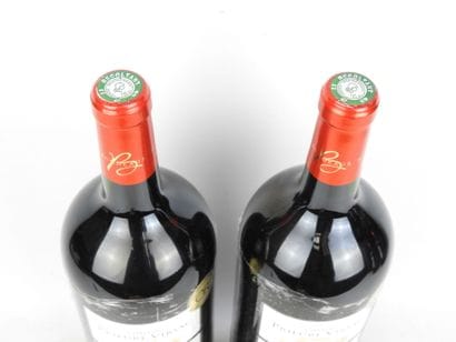 2 Magnums 