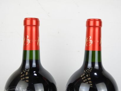 2 Magnums 