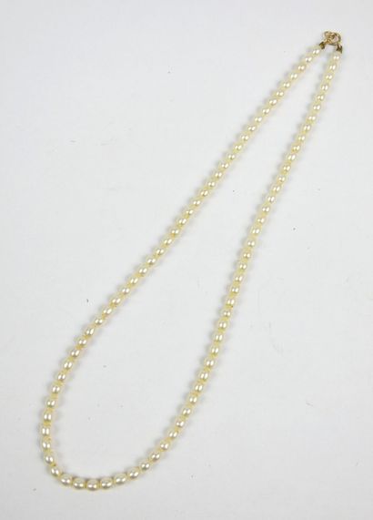 COLLAR of pearls with clasp in yellow gold...