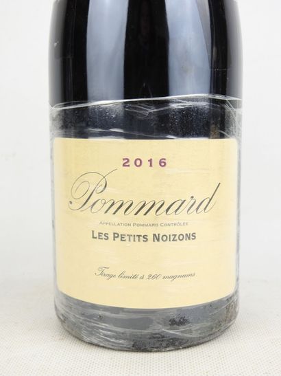 1 Magnum POMMARD Les Petits Noizons 