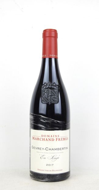1 Bottle Gevrey-Chambertin En Songe 