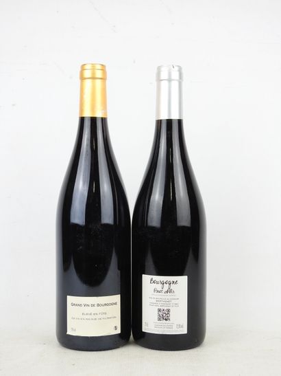 2 bottles Bourgogne Pinot Noir Berthenet...