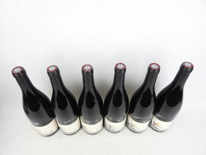 6 Bottles BOURGUEIL Jour de soif 