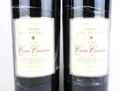 2 Magnums CORBIERES 