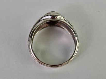 Band ring in 18K (750°/°°) white gold centered...