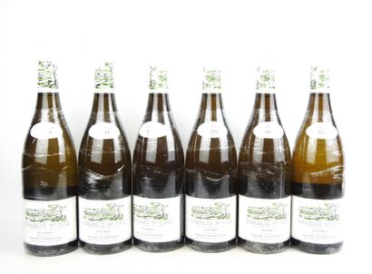 6 Bottles CHABLIS La Forêt 