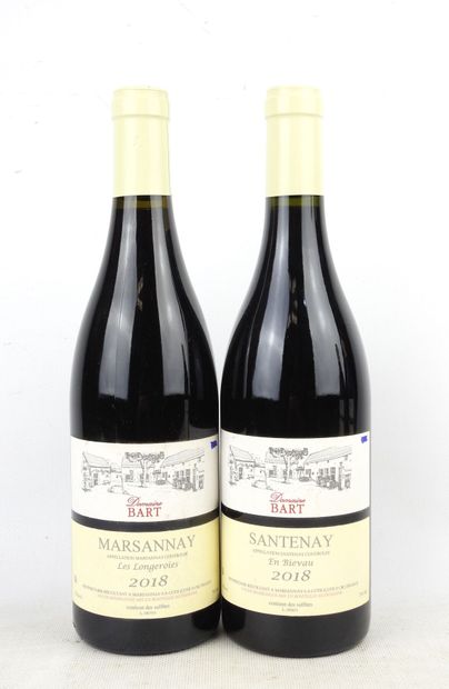 2 bottles Domaine Bart Santenay village 