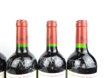 6 Bottles BLAYE 