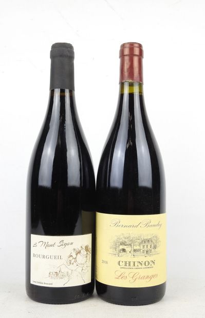 2 bottles Bourgueil Le Mont Sigou Lamé Deslisle...