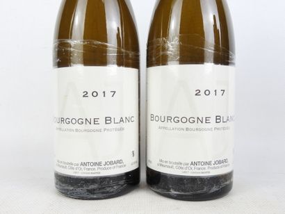 2 Bottles BOURGOGNE Blanc 