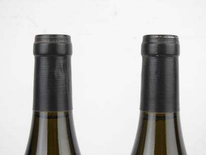 2 bottles Domaine Pierre Boisson Bourgogne...