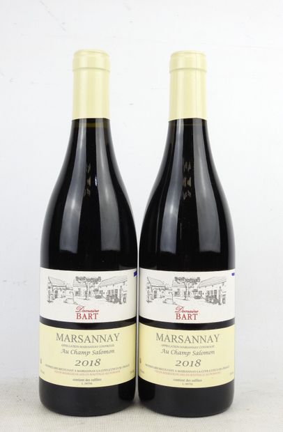 2 bottles Domaine Bart Marsannay 