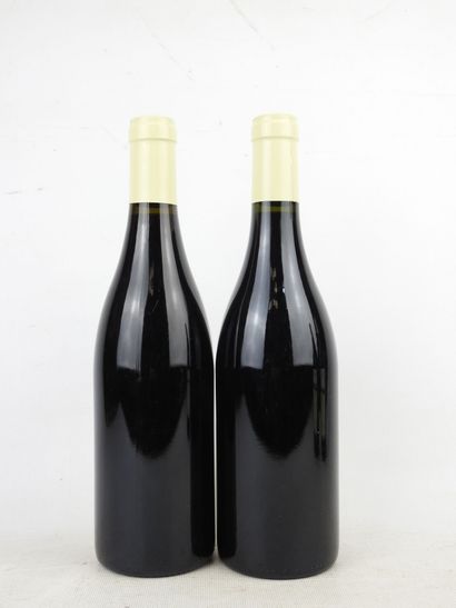 2 bottles Domaine Bart Santenay village 