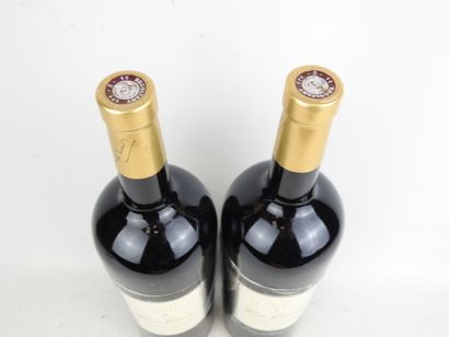 2 Magnums CORBIERES 