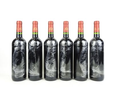 6 Bottles 