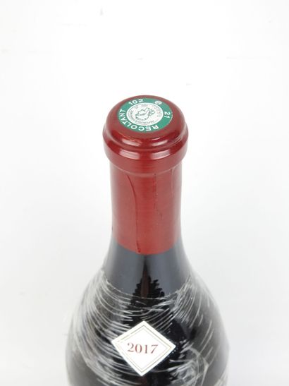 1 Magnum BOURGOGNE Rouge 