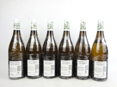 6 Bottles CHABLIS La Forêt 