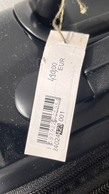 LONGCHAMP 1 CABIN CASE ref 24024 423. Purchase...