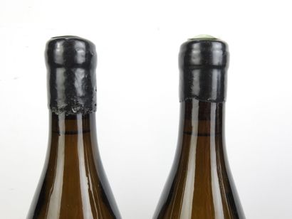 2 Bottles BOURGOGNE Blanc 
