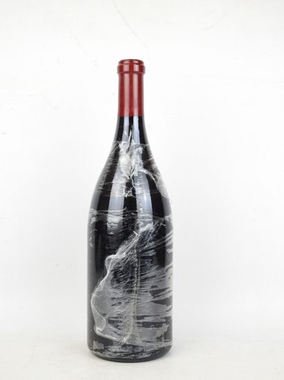 1 Magnum BOURGOGNE Rouge 