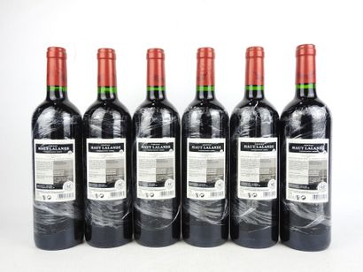 6 Bottles BLAYE 