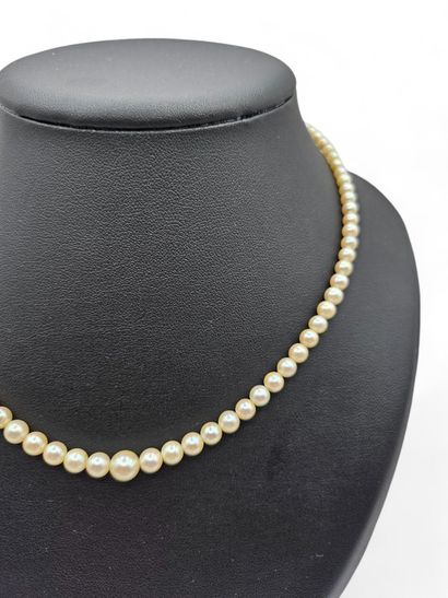 Necklace of tumbling cultured pearls, clasp...