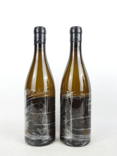 2 Bottles BOURGOGNE Blanc 