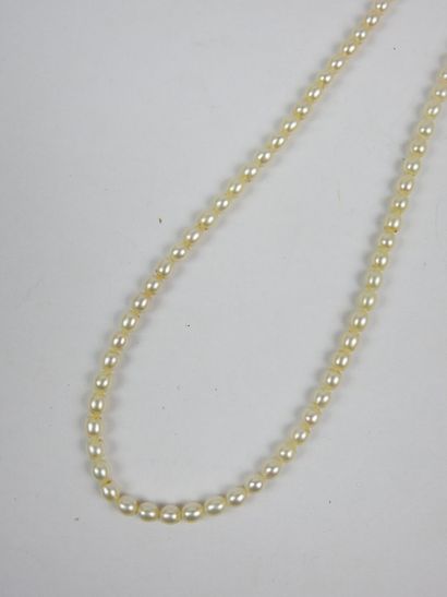 COLLAR of pearls with clasp in yellow gold...