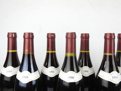 12 bottles SANTENAY Louis Duchemin 1990