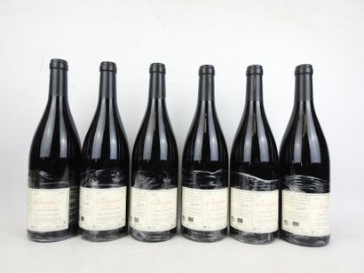 6 Bottles BOURGUEIL Jour de soif 