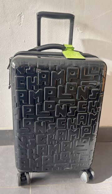 LONGCHAMP 1 CABIN CASE ref 24024 423. Purchase...