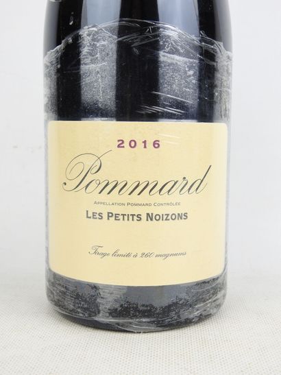 1 Magnum POMMARD Les Petits Noizons 