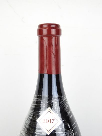 1 Magnum BOURGOGNE Rouge 