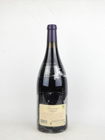 1 Magnum POMMARD Les Petits Noizons 