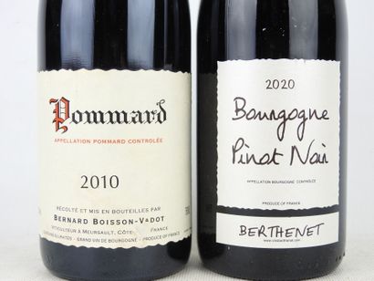 2 bottles Bourgogne Pinot Noir Berthenet...