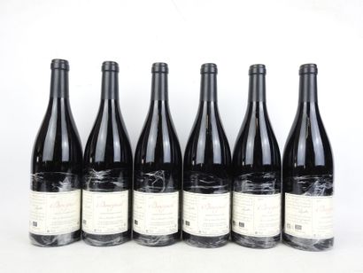 6 Bottles BOURGUEIL Jour de Soif 