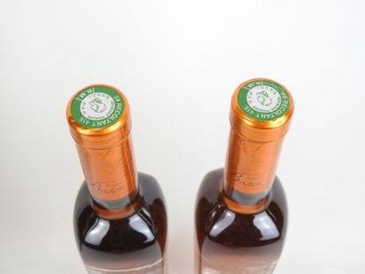 2 ½ bottles VIN DE PAILLE Côte du Jura 