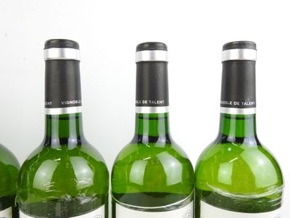 6 Bottles 
