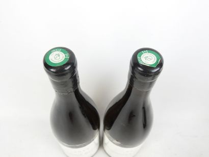 2 Bottles BOURGOGNE Blanc 