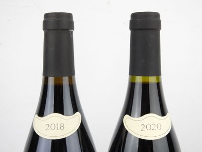 2 bottles Domaine Gonon 