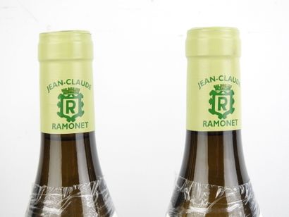 2 Bottles CHASSAGNE MONTRACHET VILLAGE, white...