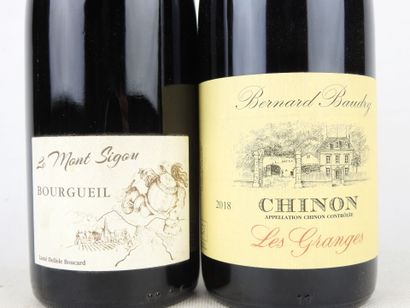 2 bottles Bourgueil Le Mont Sigou Lamé Deslisle...