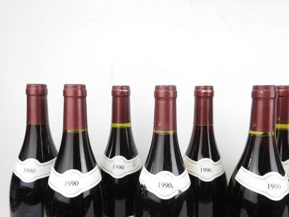 12 bottles SANTENAY Louis Duchemin 1990