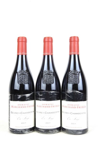 3 Bottles Gevrey-Chambertin En Songe 
