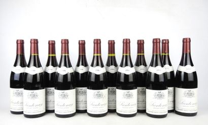 12 bottles SANTENAY Louis Duchemin 1990