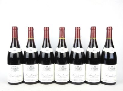 7 bottles SANTENAY Louis Duchemin 1990
