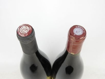2 bottles Bourgueil Le Mont Sigou Lamé Deslisle...