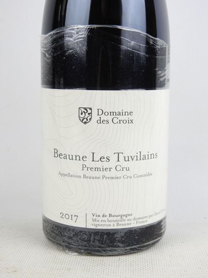 1 Bottle BEAUNE Rouge Les Tuvilains 